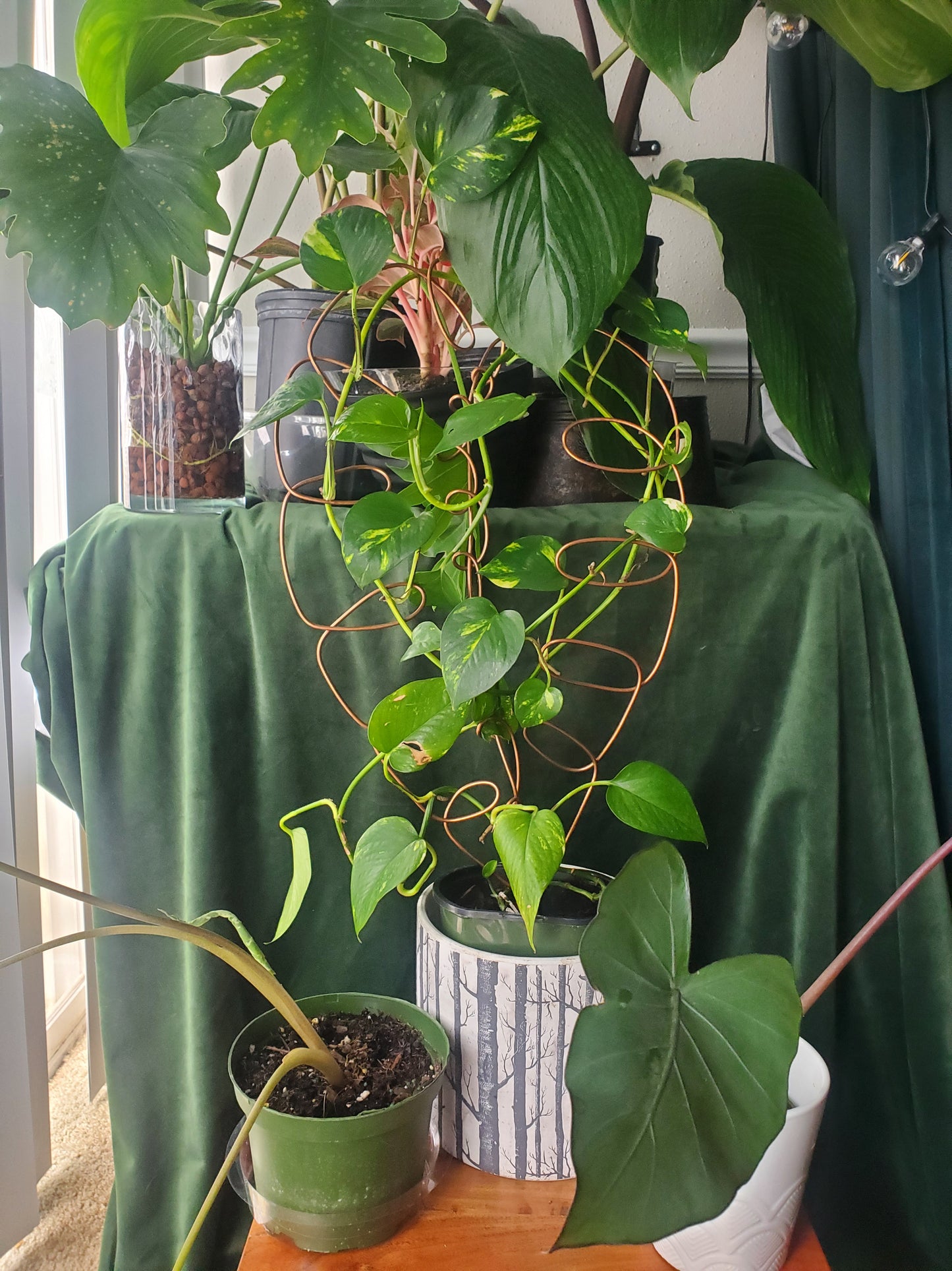 Copper plant trellises