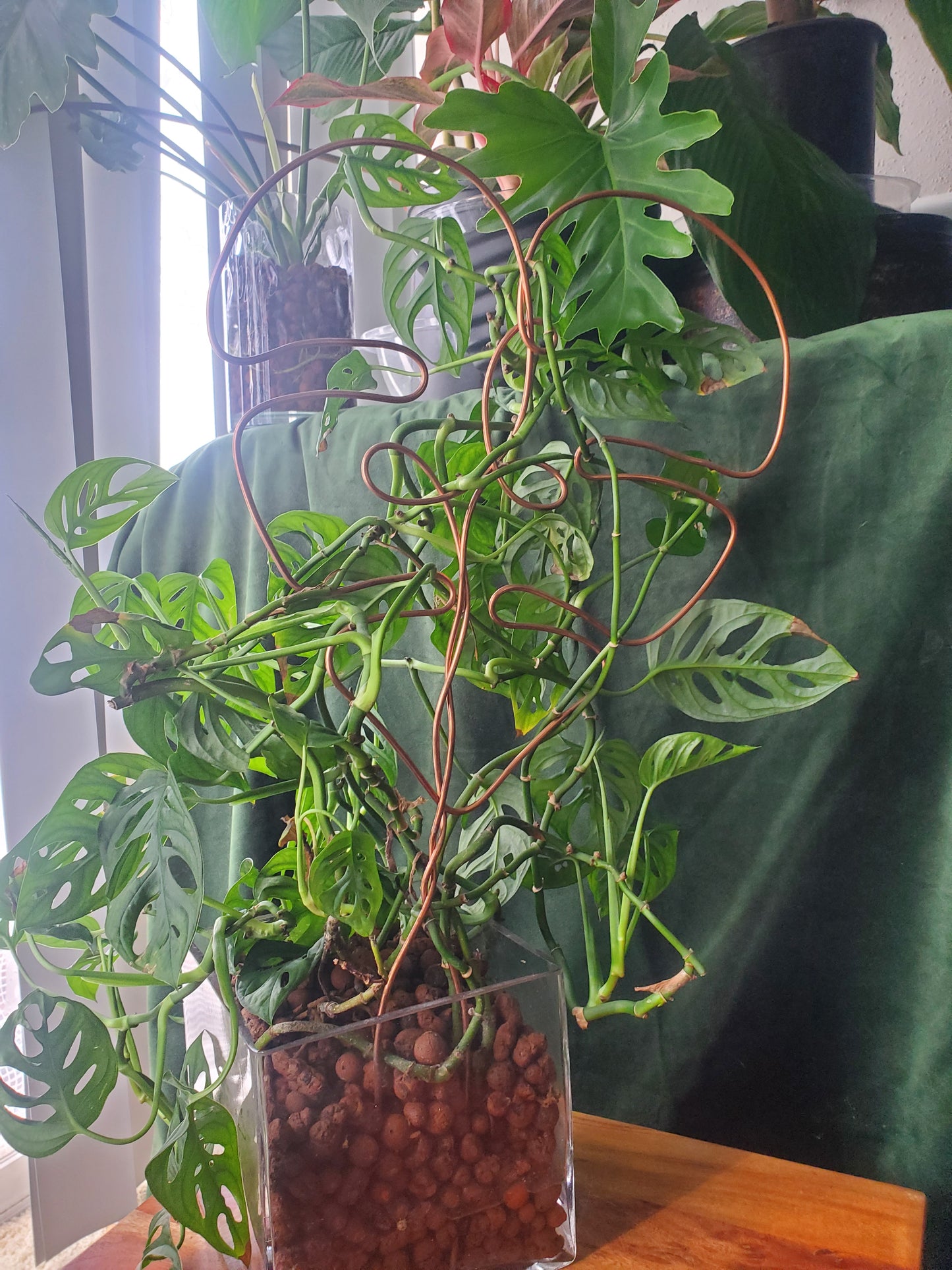 Copper plant trellises