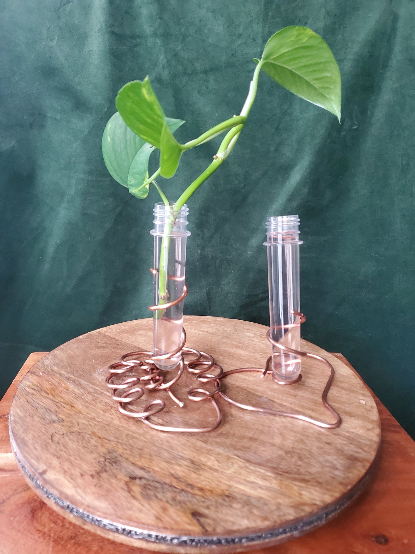 Copper propagation tube holder