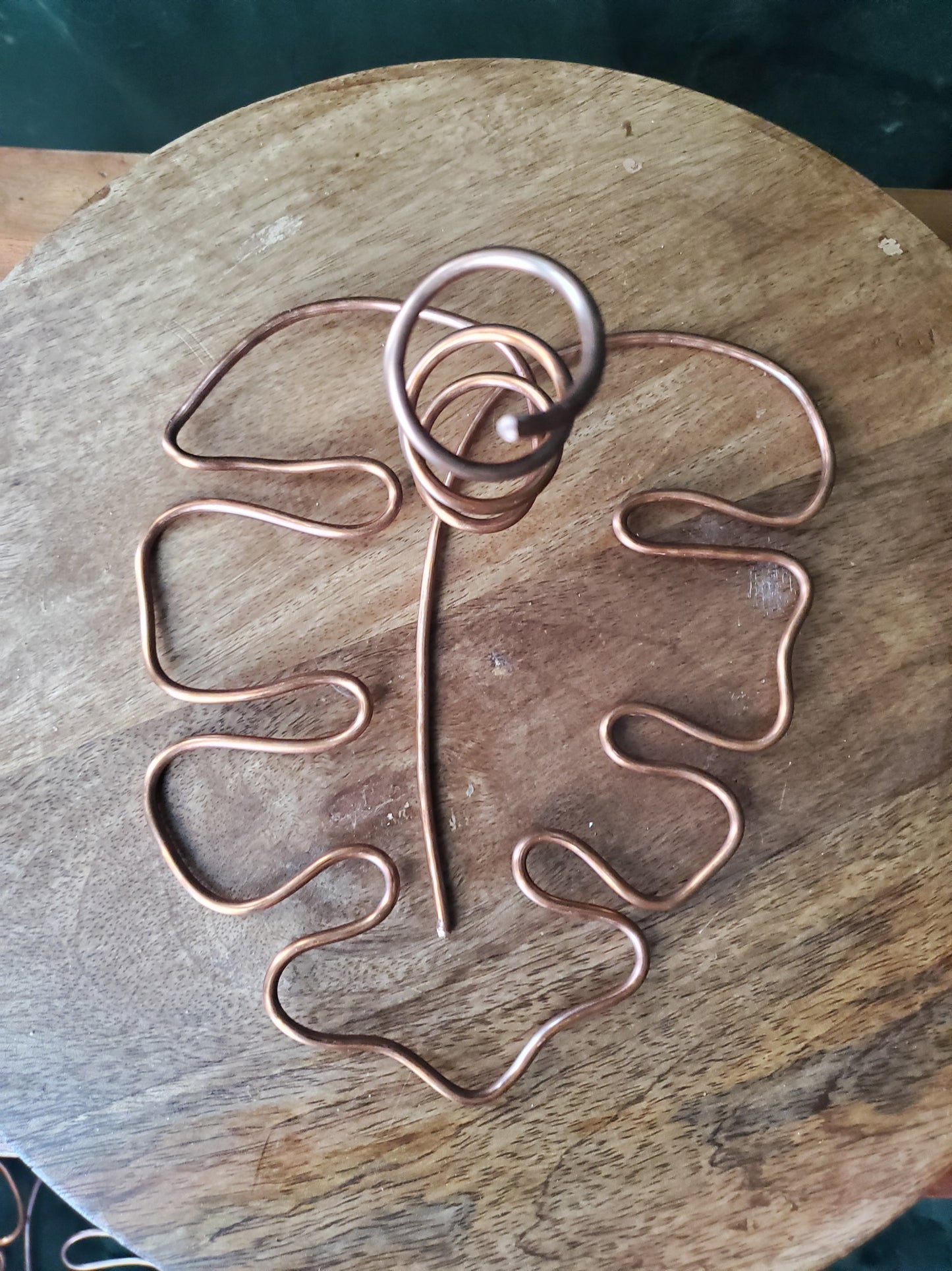 Copper propagation tube holder