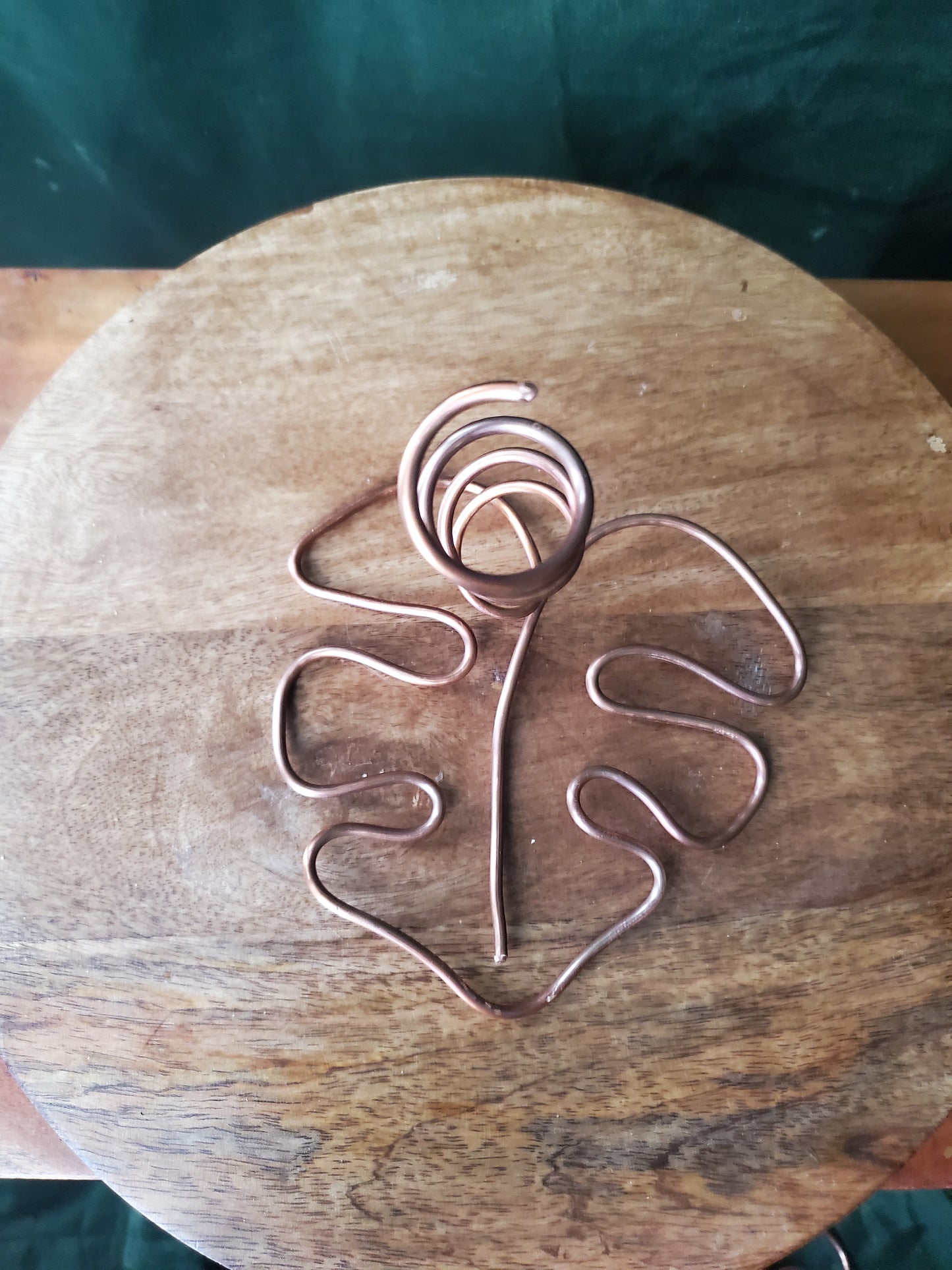 Copper propagation tube holder