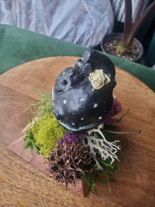 Spirit of the Forest