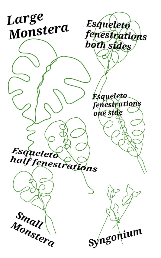 Copper plant trellises