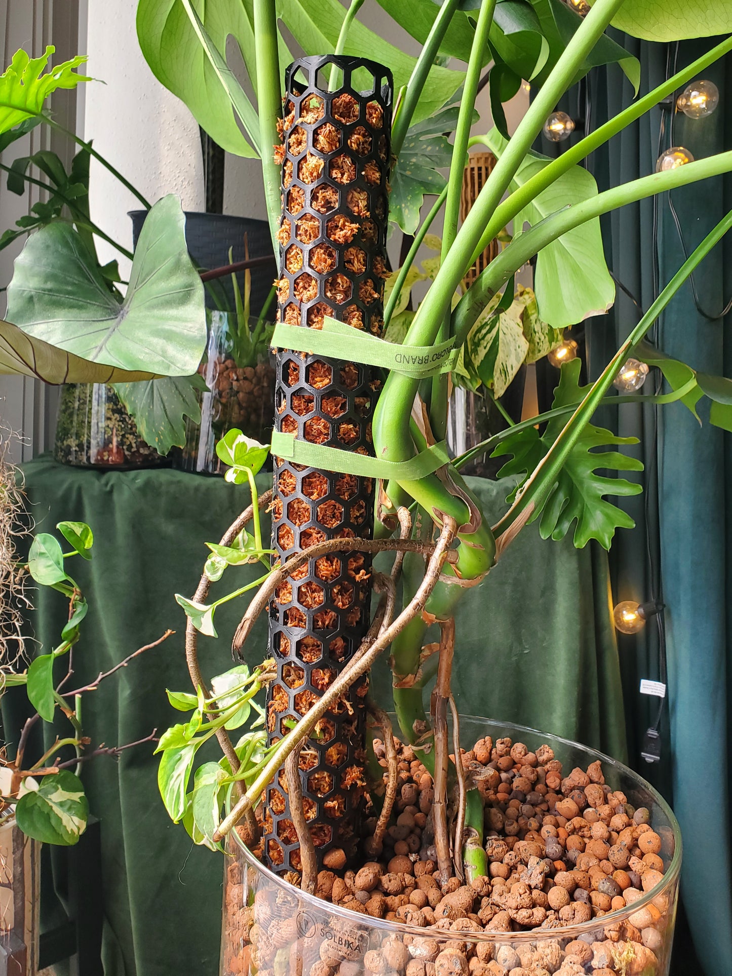 Orchid Box moss poles