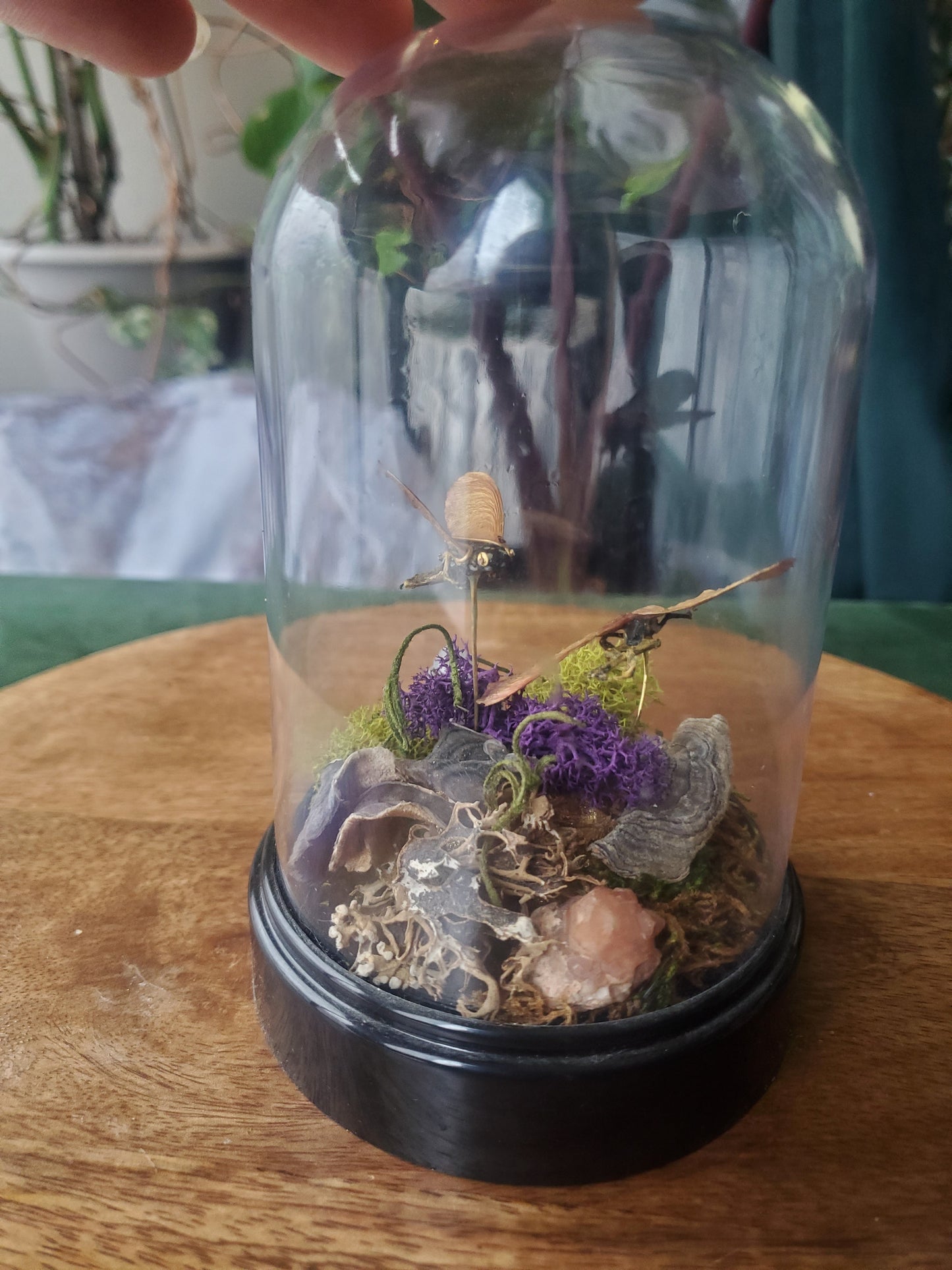 Flights of Fancy